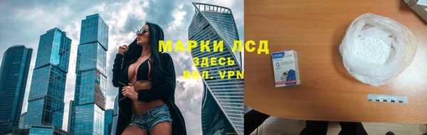 индика Гусиноозёрск