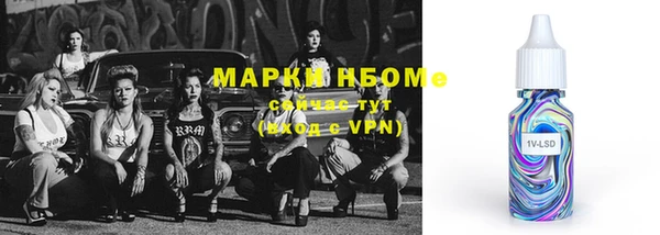 индика Гусиноозёрск