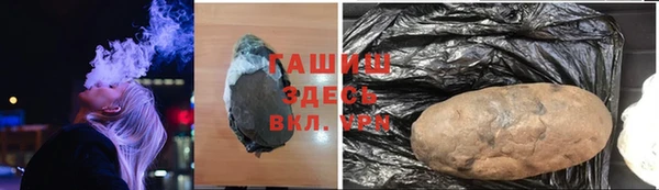 индика Гусиноозёрск
