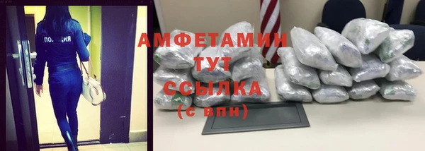 индика Гусиноозёрск