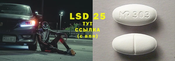 индика Гусиноозёрск