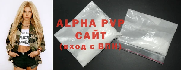 индика Гусиноозёрск