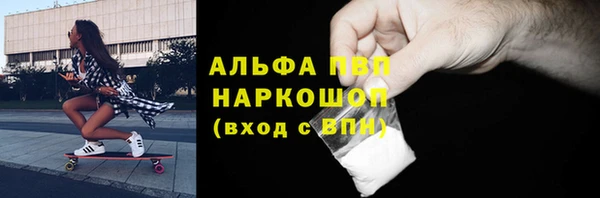 индика Гусиноозёрск