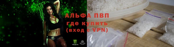 индика Гусиноозёрск