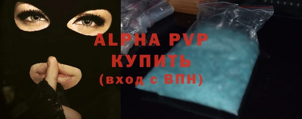 индика Гусиноозёрск