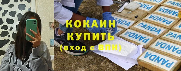 индика Гусиноозёрск