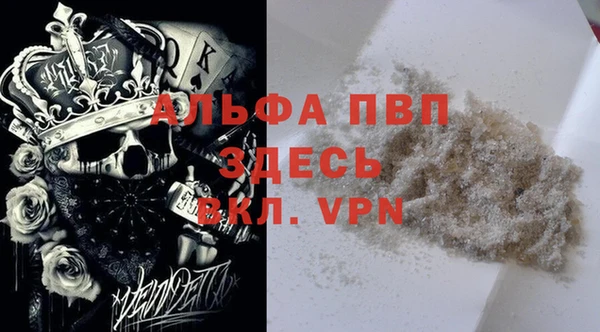 индика Гусиноозёрск