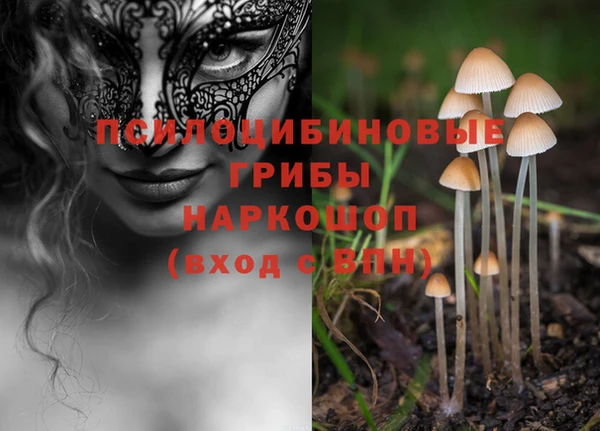 индика Гусиноозёрск