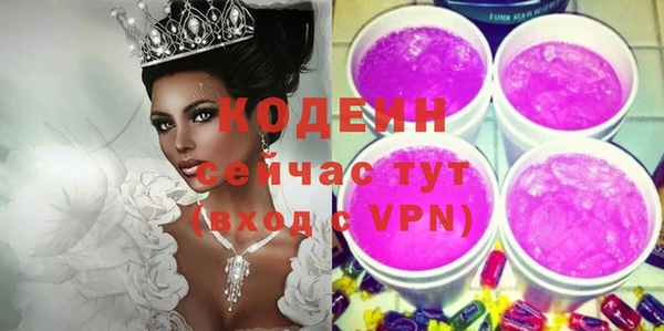 индика Гусиноозёрск