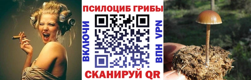 Купить  Приозерск  Галлюциногенные грибы GOLDEN TEACHER 