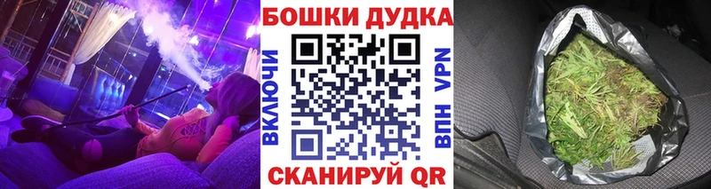 Купить закладки  Приозерск  Бошки марихуана конопля 